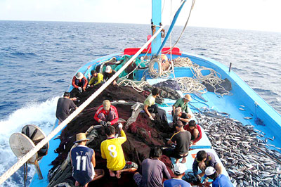 ຫວຽດນາມແລະໄທເພີ່ມທະວີການຮ່ວມມືຕ້ານການຫາປາຢ່າງຜິດກົດໝາຍ